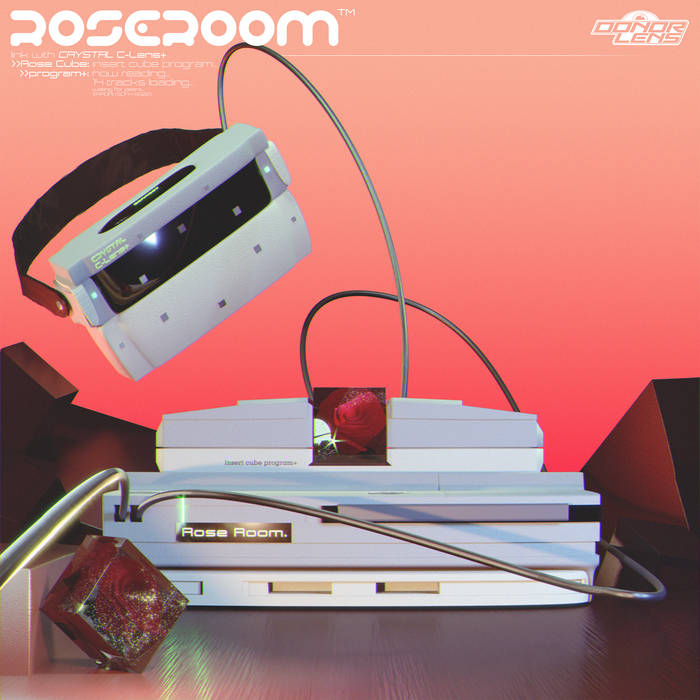 Boom, it’s a fucking smash: Review of ‘Rose Room’ – from Donor Lens (released on My Pet Flamingo)